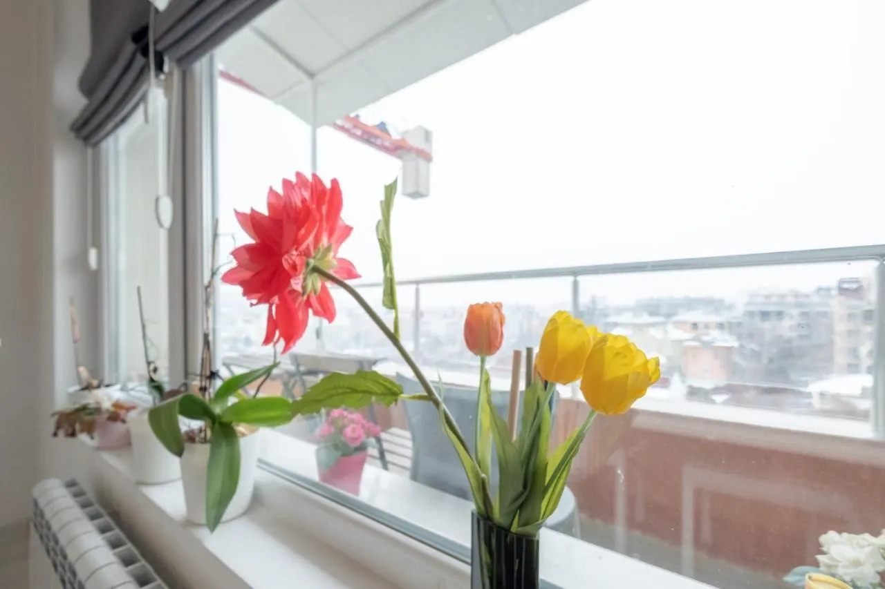 Sunny 1- Bdr In Banishora District Apartment Sofia
